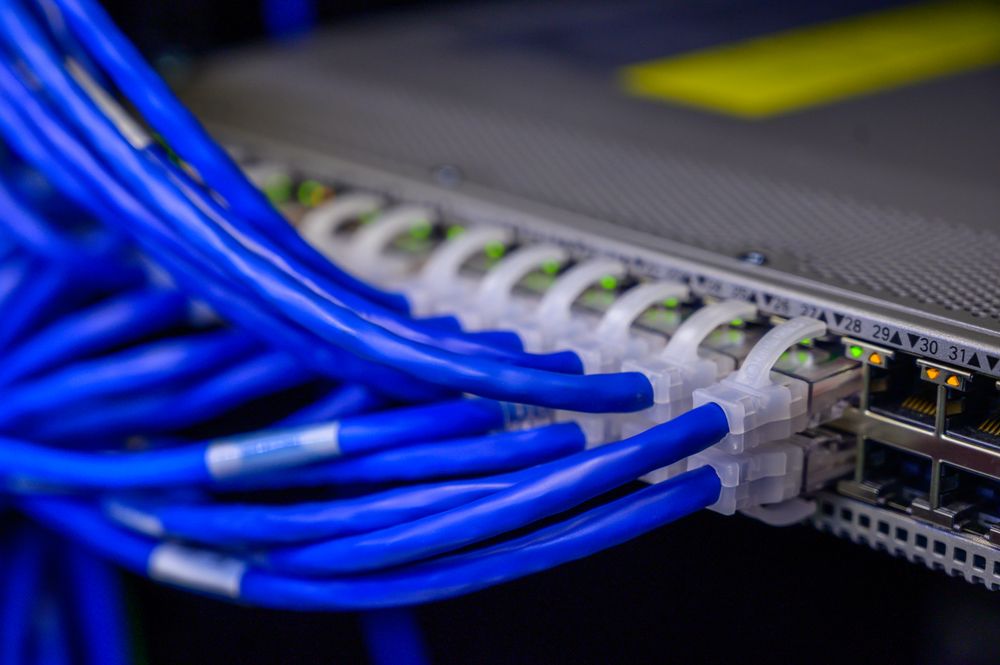 Blue Ethernet cables connected to a network switch